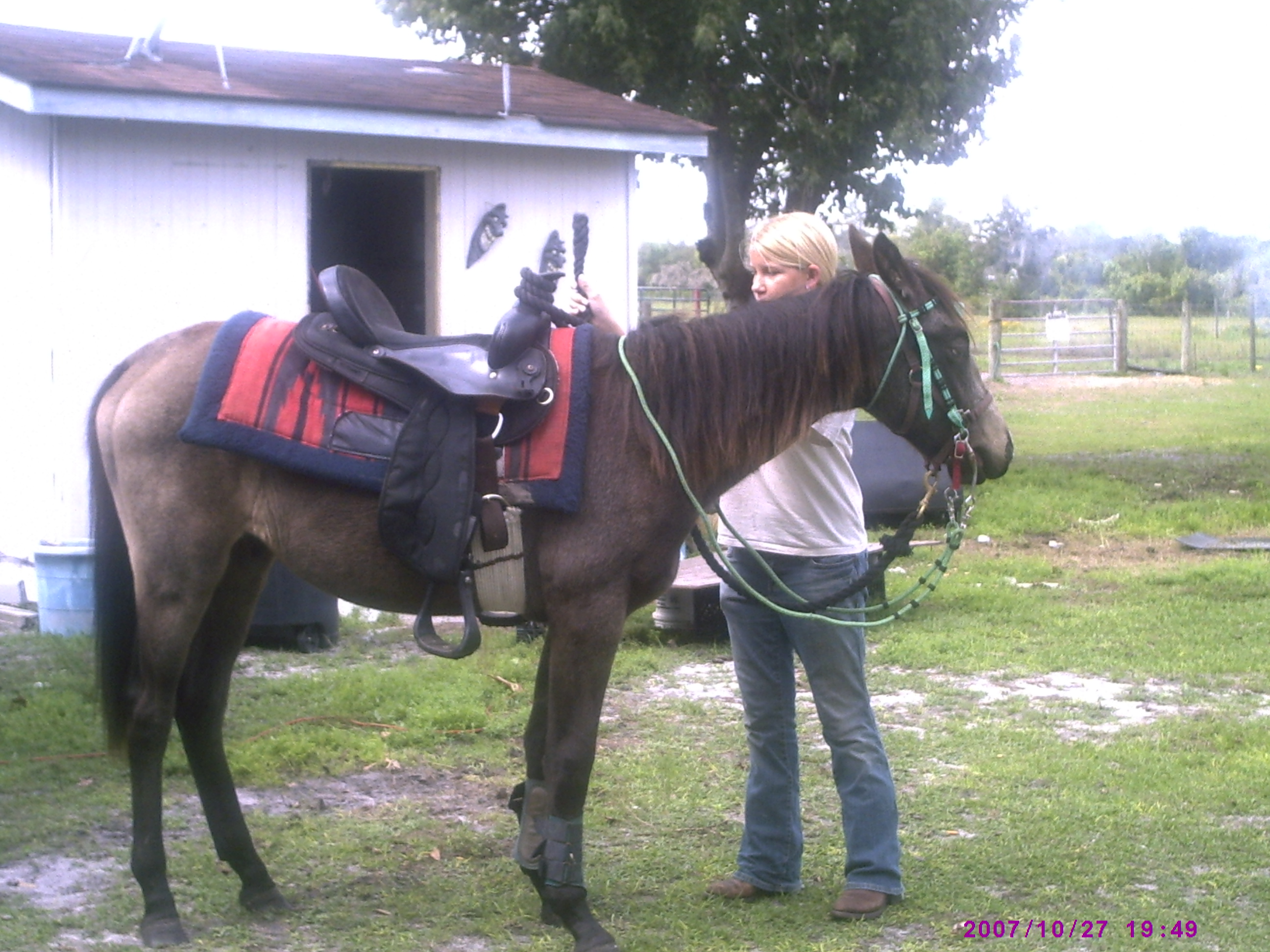 gettinthesaddleready.jpg