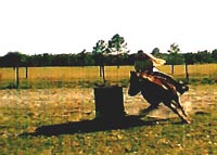 lace11.jpg